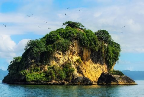 cayo los pajaros