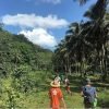 เดินป่า los haitises