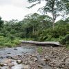 نهر تتوسطه شجرة ساقطة يسمى سالتو لا جالدا (التنزه والسباحة).