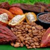 Какаови зърна и какаови шушулки върху бананови листа, смесени със Salto La Jalda (туризъм и плуване).