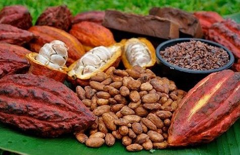 Kakaobohnen und Kakaofrüchte auf einem Bananenblatt gemischt mit Salto La Jalda (Wandern und Schwimmen).
