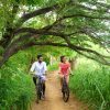 tour en bicicleta los haitises tours