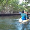 Los Haitises Excursion Kayak Tour in Kayaks los haitises cano hondo 1 scaled
