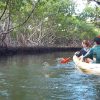 Los Haitises Excursion Kayak Tour in Kayaks los haitises cano hondo 2 scaled