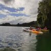 Los Haitises Excursion Kayak Tour in Kayaks los haitises cano hondo 3 scaled